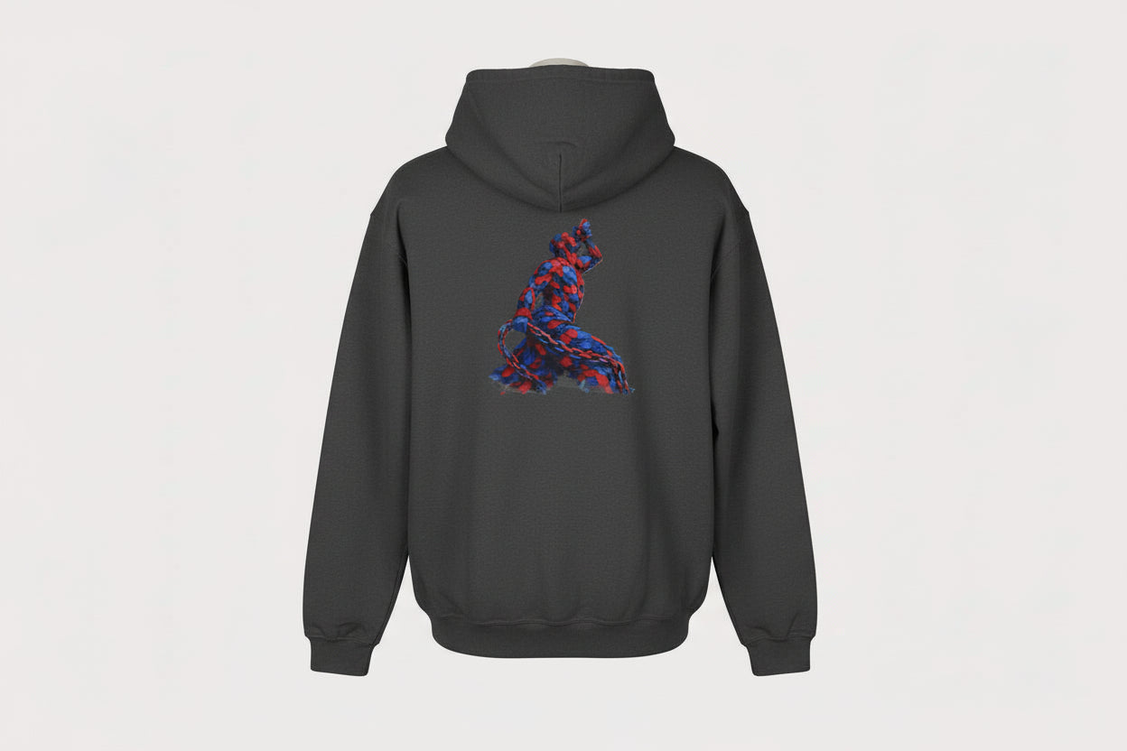 Dark gray hoodie with a colorful graphic on the back against a white background