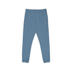 Blue sweatpants on a white background